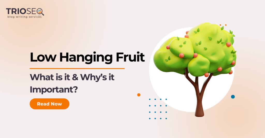 Low Hanging Fruit SEO - Featured Image