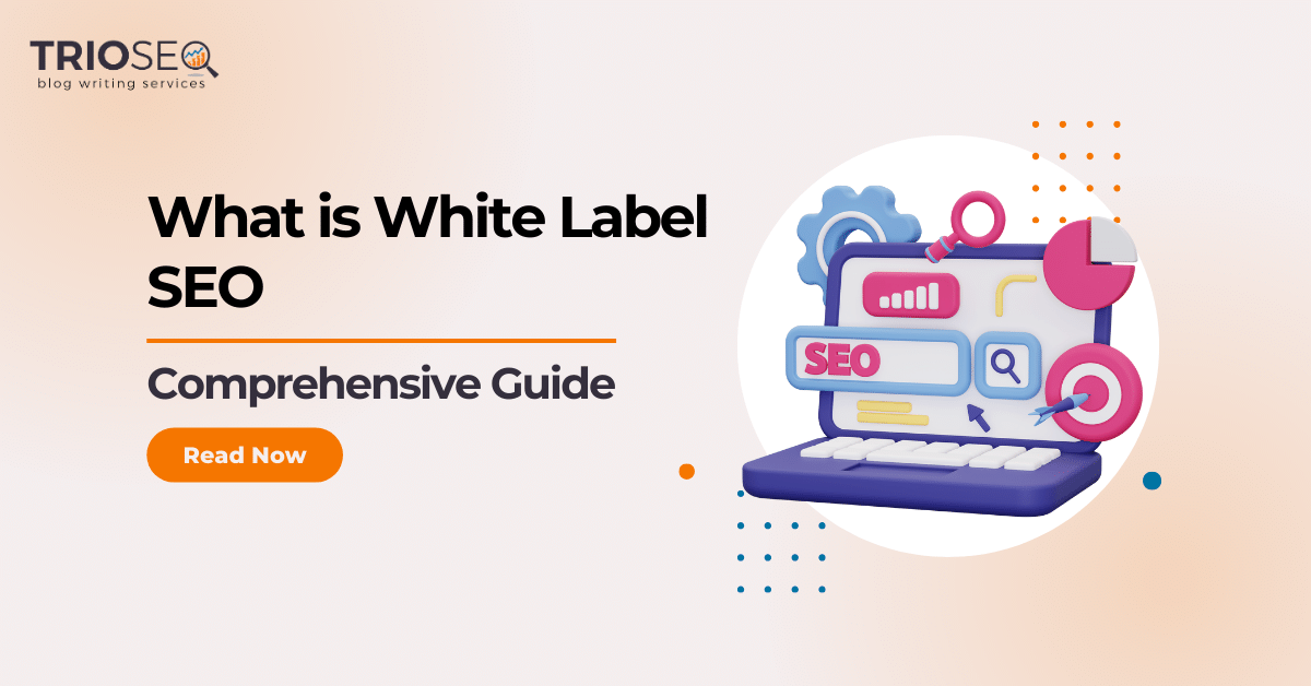 What is White Label SEO - Comprehensive Guide